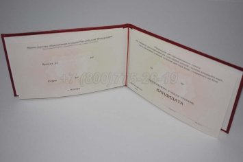 Диплом Кандидата Наук 2020г в Краснодаре