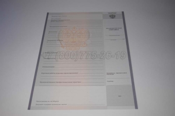 Академическая Справка Техникума 2024г в Краснодаре