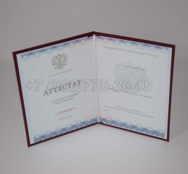Аттестат За 11 Класс 2025г Золото ГОЗНАК в Краснодаре
